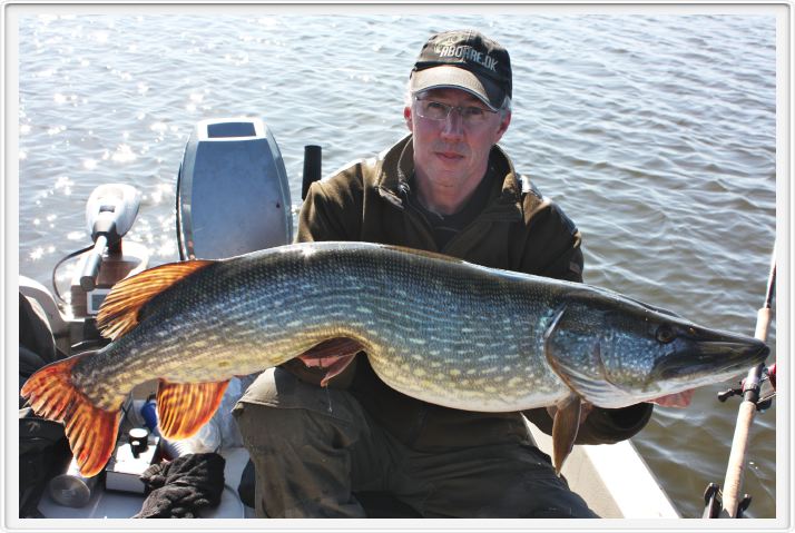 12.300 kg 110 cm