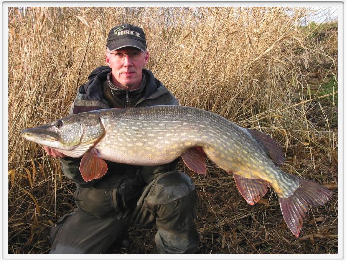 11,1 kg 111 cm