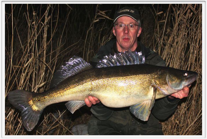 8,3 kg 93 cm