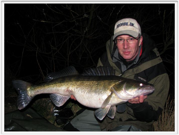 6200 82 cm