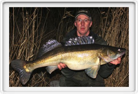 8,3 kg 93 cm